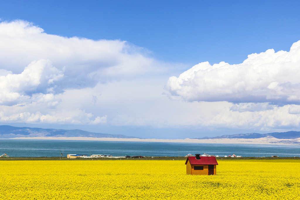 青海湖夏日风景