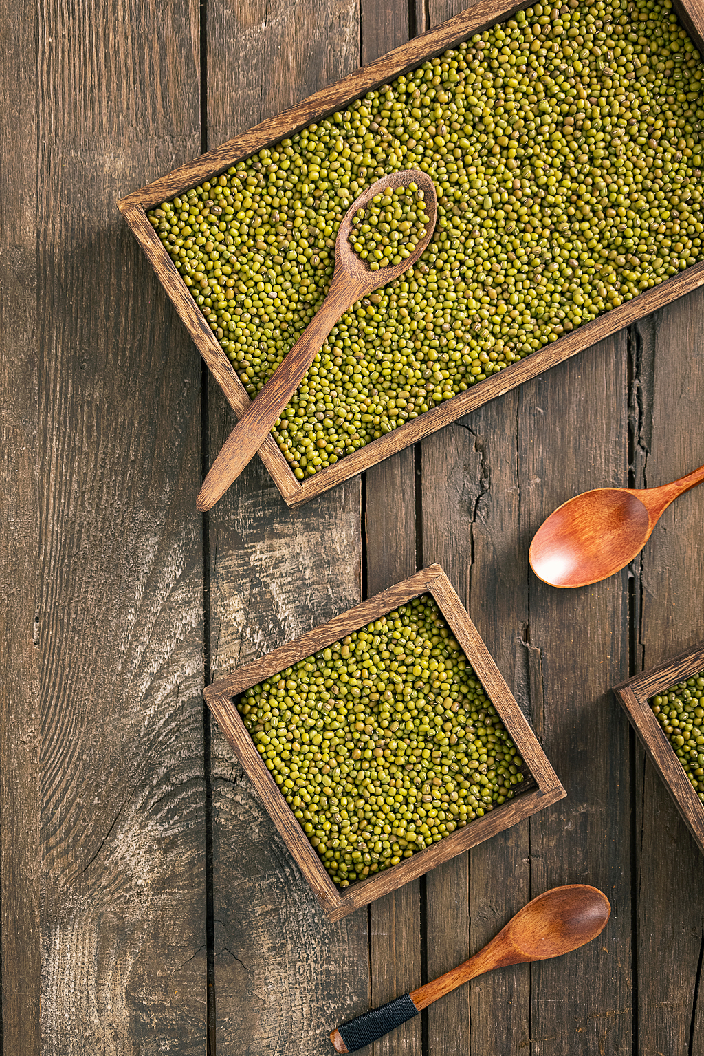 绿豆素材暗调风格夏天图片夏至静物