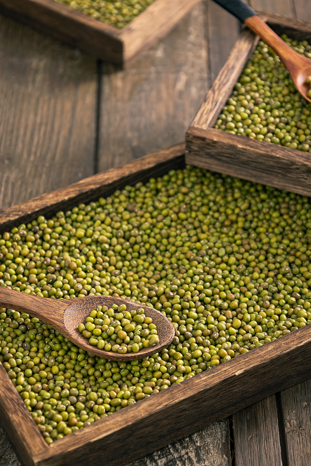 绿豆素材五谷杂粮食材夏天图片夏至静物