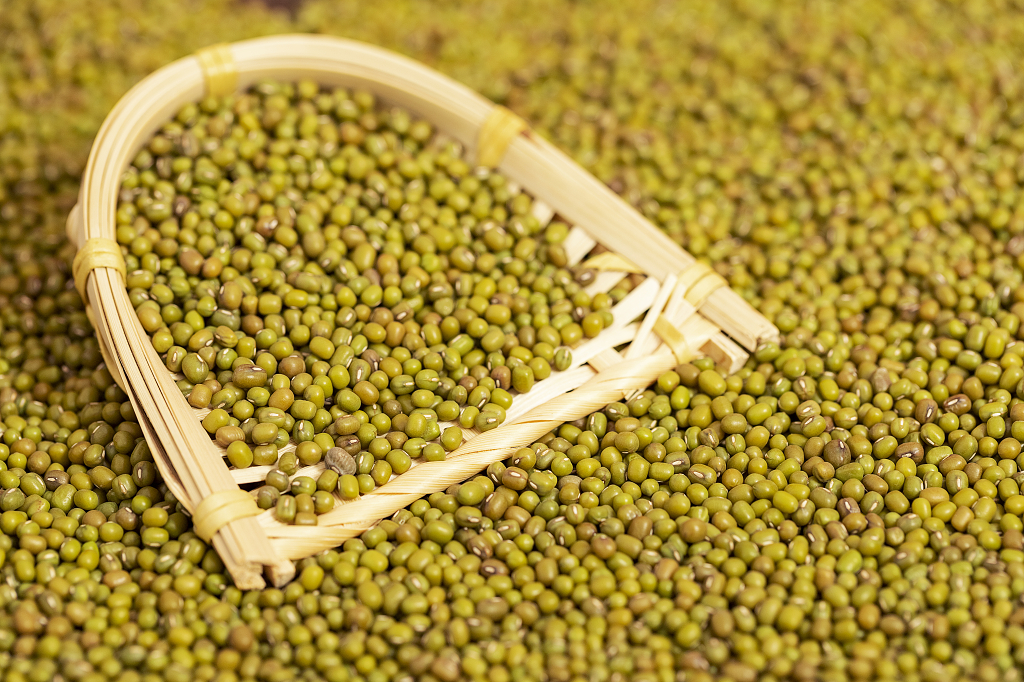 夏天绿豆食材图片夏天图片夏至静物