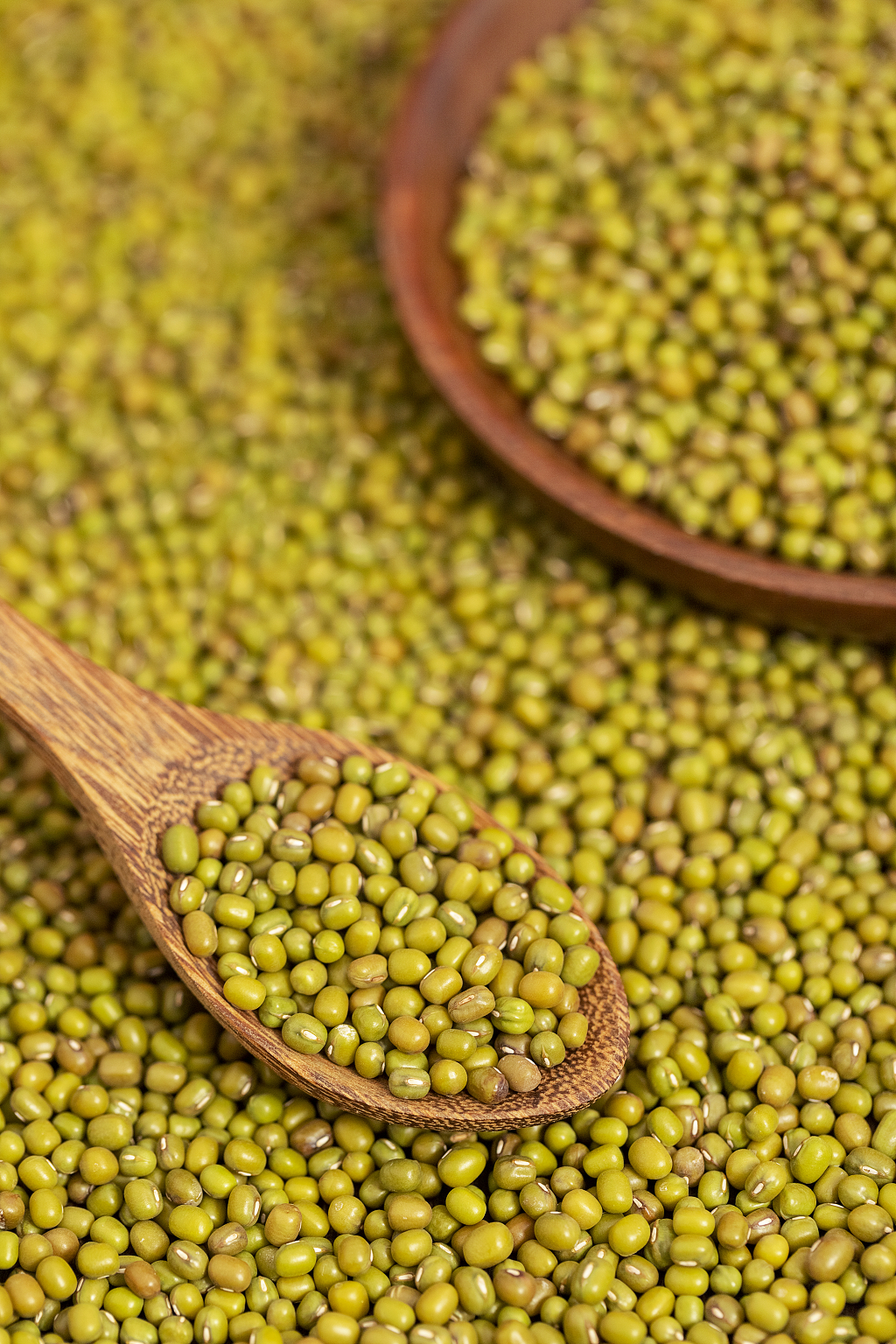 大暑小暑夏天绿豆食材夏天图片夏至静物