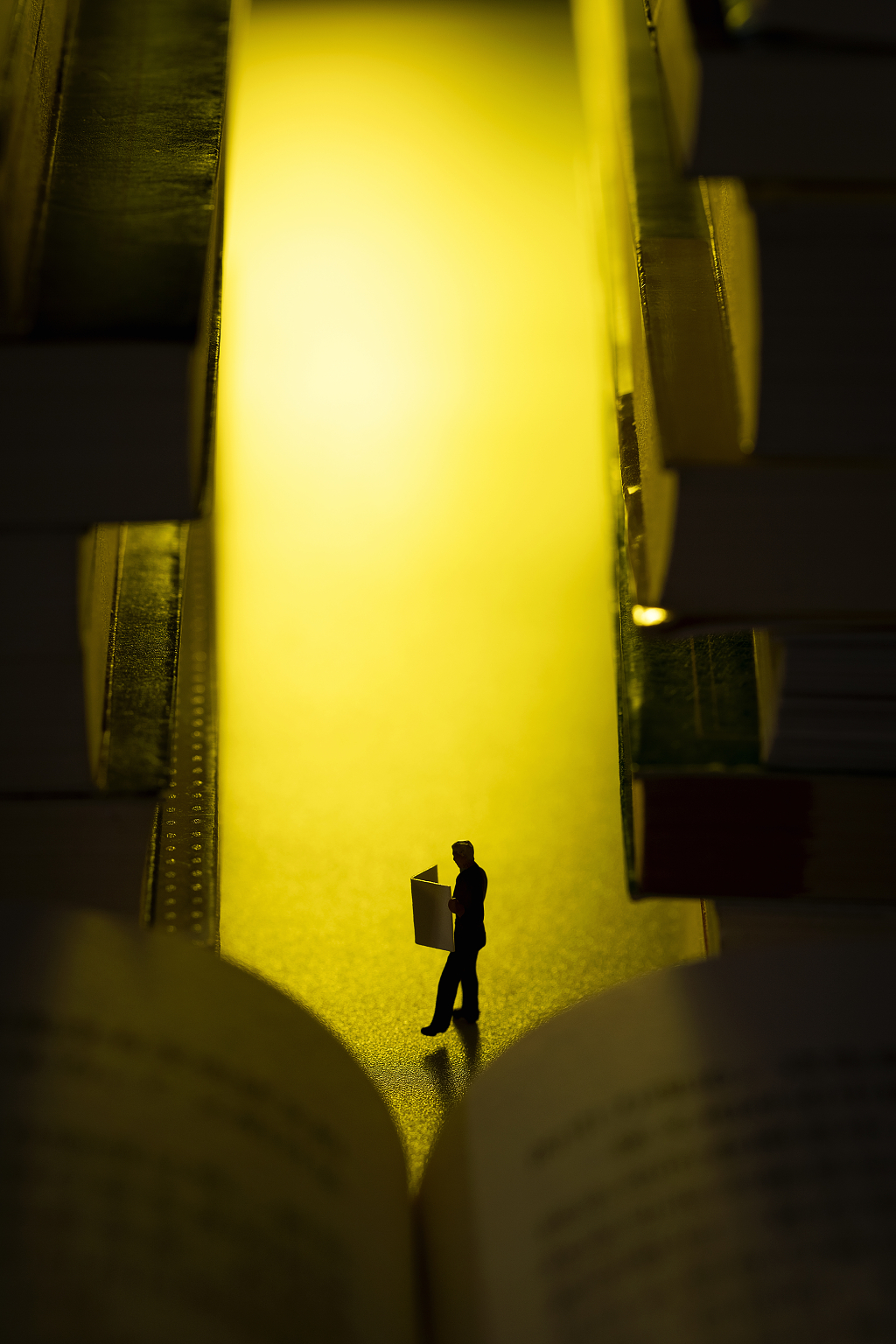 微缩创意逆光读书日素材读书日教师节阅读教育