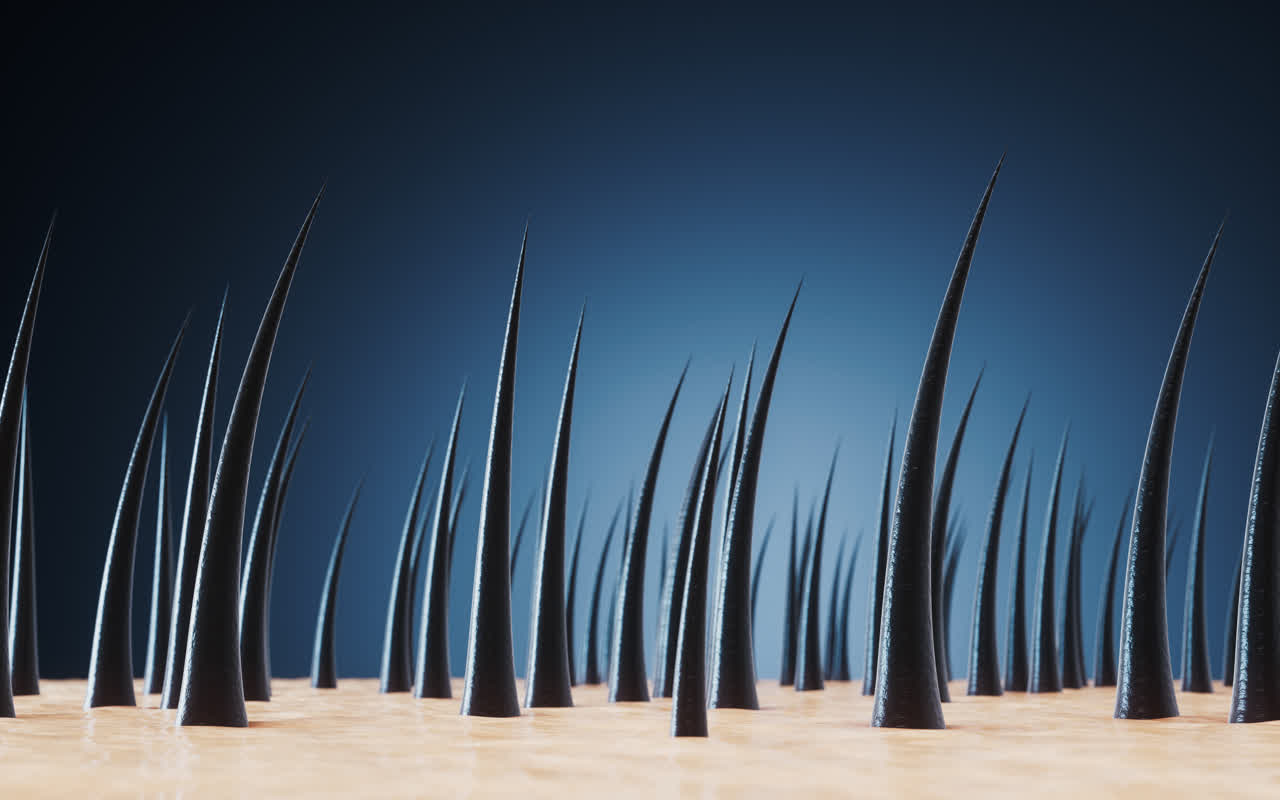 头发与皮肤3D渲染