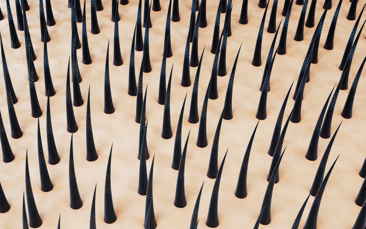 头发与皮肤3D渲染植发洗发水头发护理广告宣传