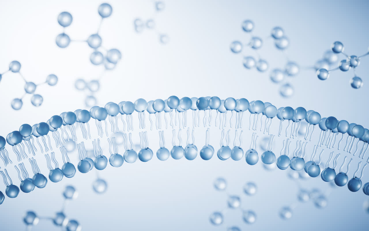 透明磷脂双分子细胞膜结构3D渲染