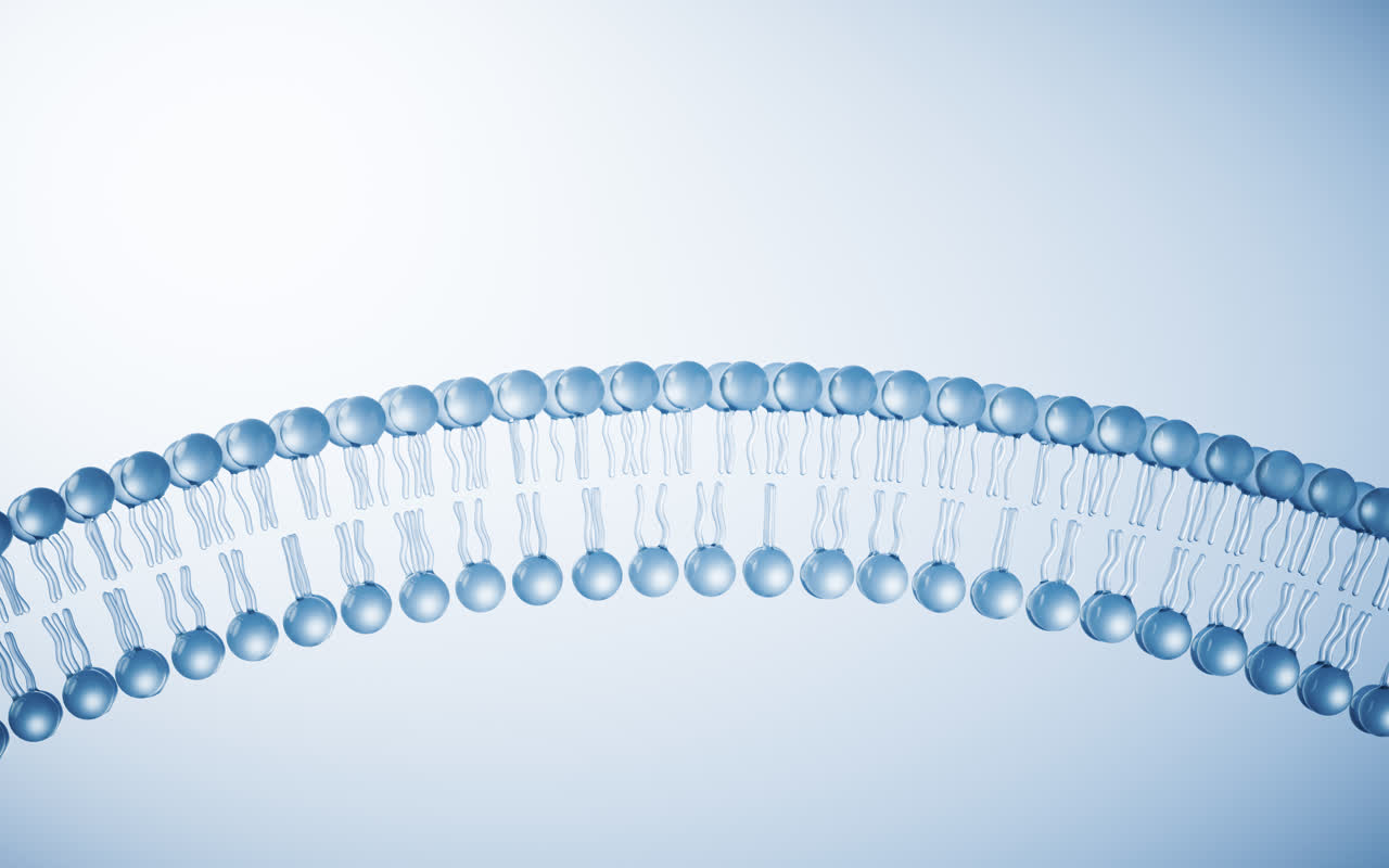 透明磷脂双分子细胞膜结构3D渲染