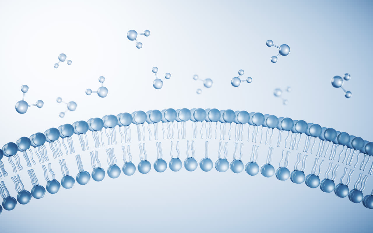 透明磷脂双分子细胞膜结构3D渲染