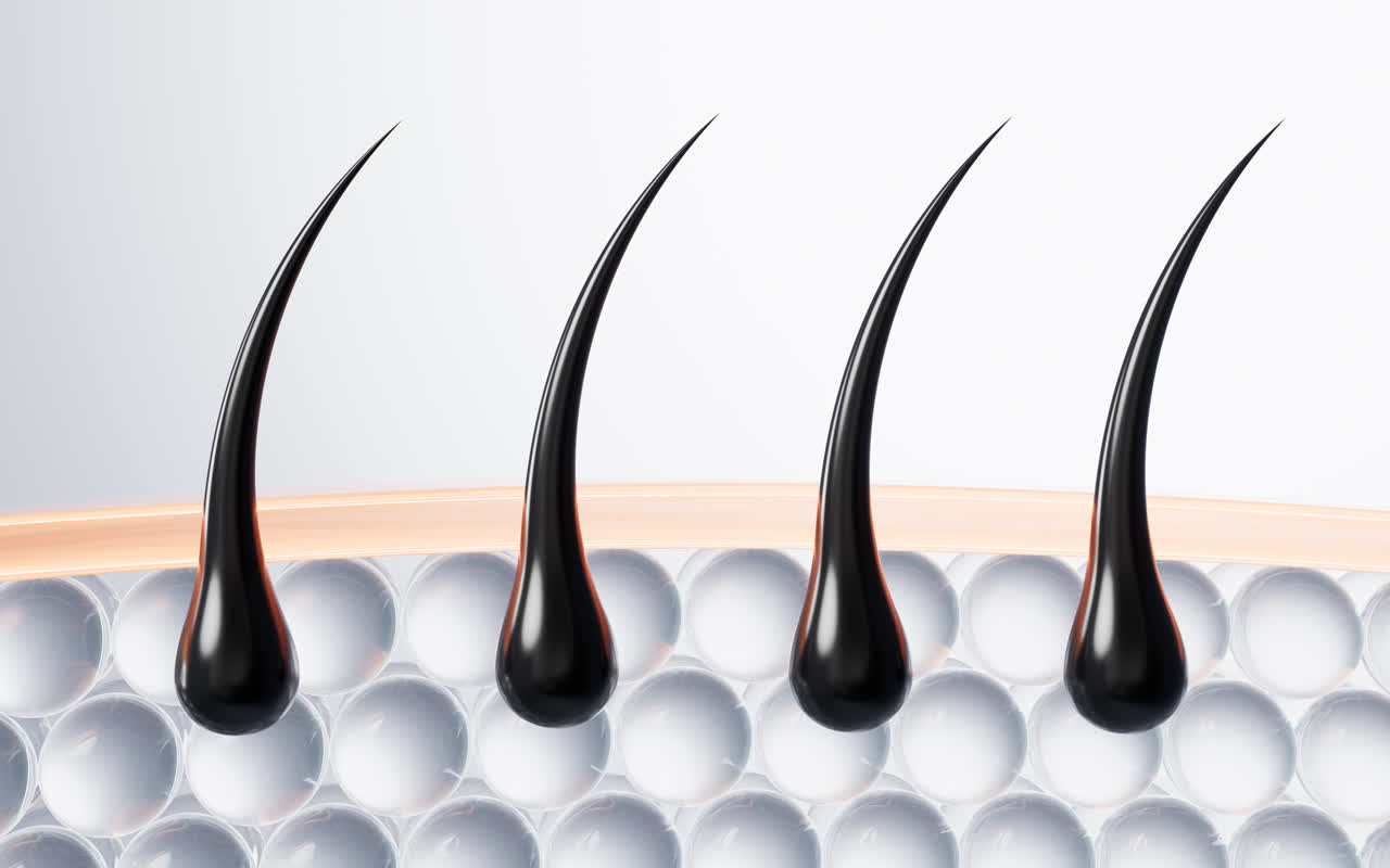 毛发与表皮细胞3D渲染