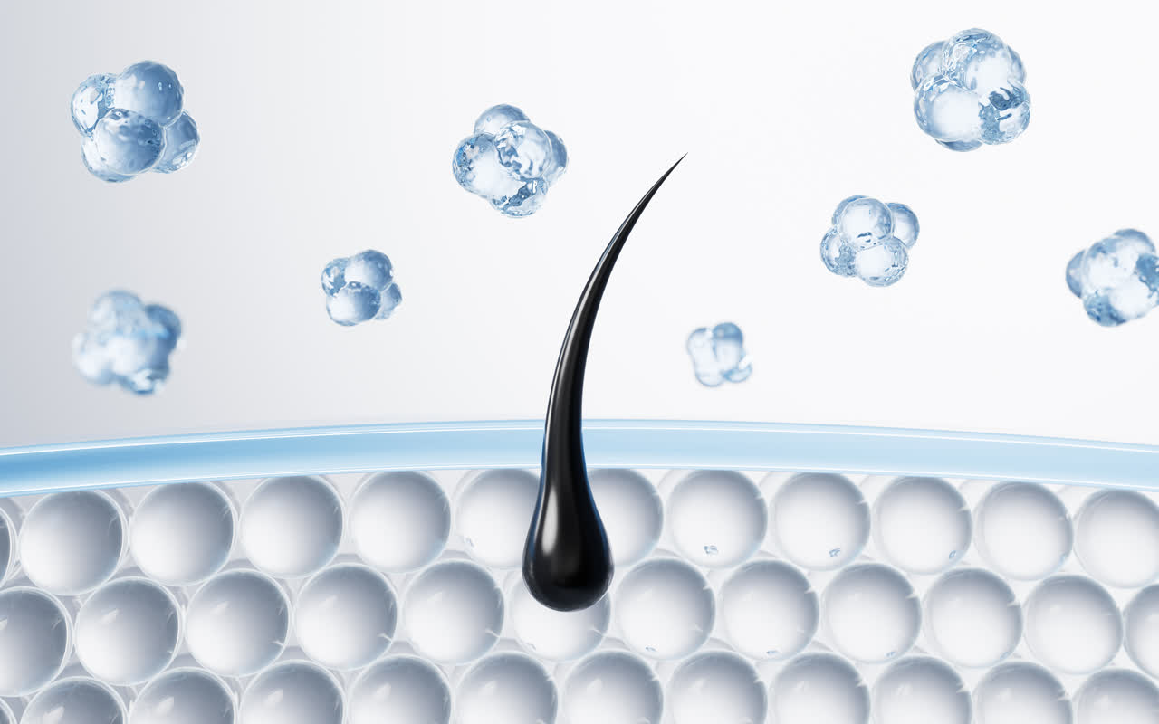 毛发与表皮细胞3D渲染