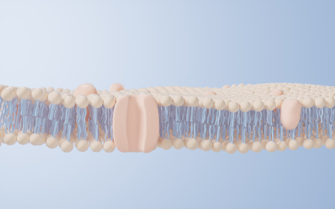 磷脂双分子层细胞膜3D渲染