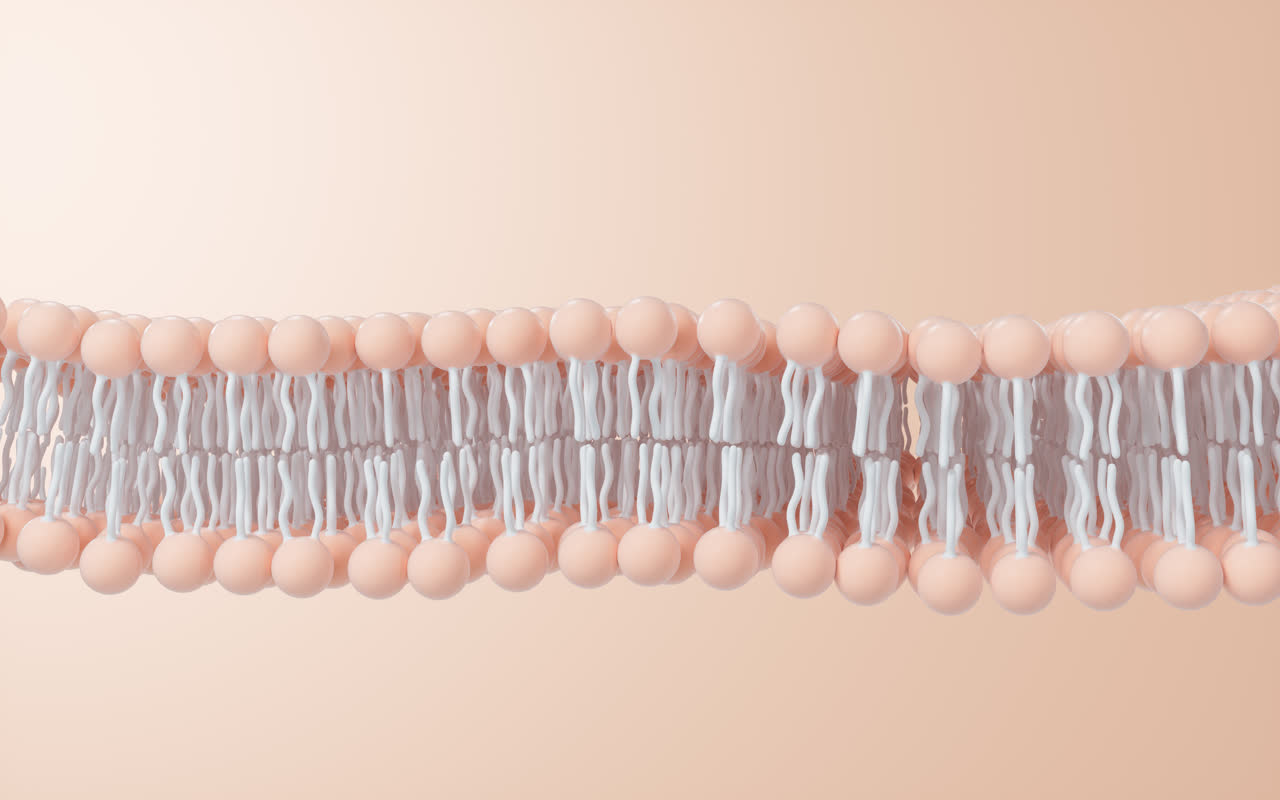 磷脂双分子层细胞膜3D渲染