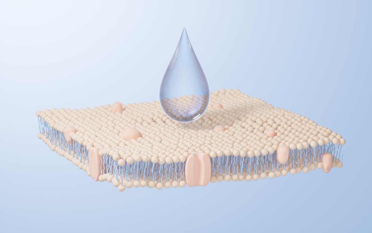 磷脂双分子层细胞膜3D渲染