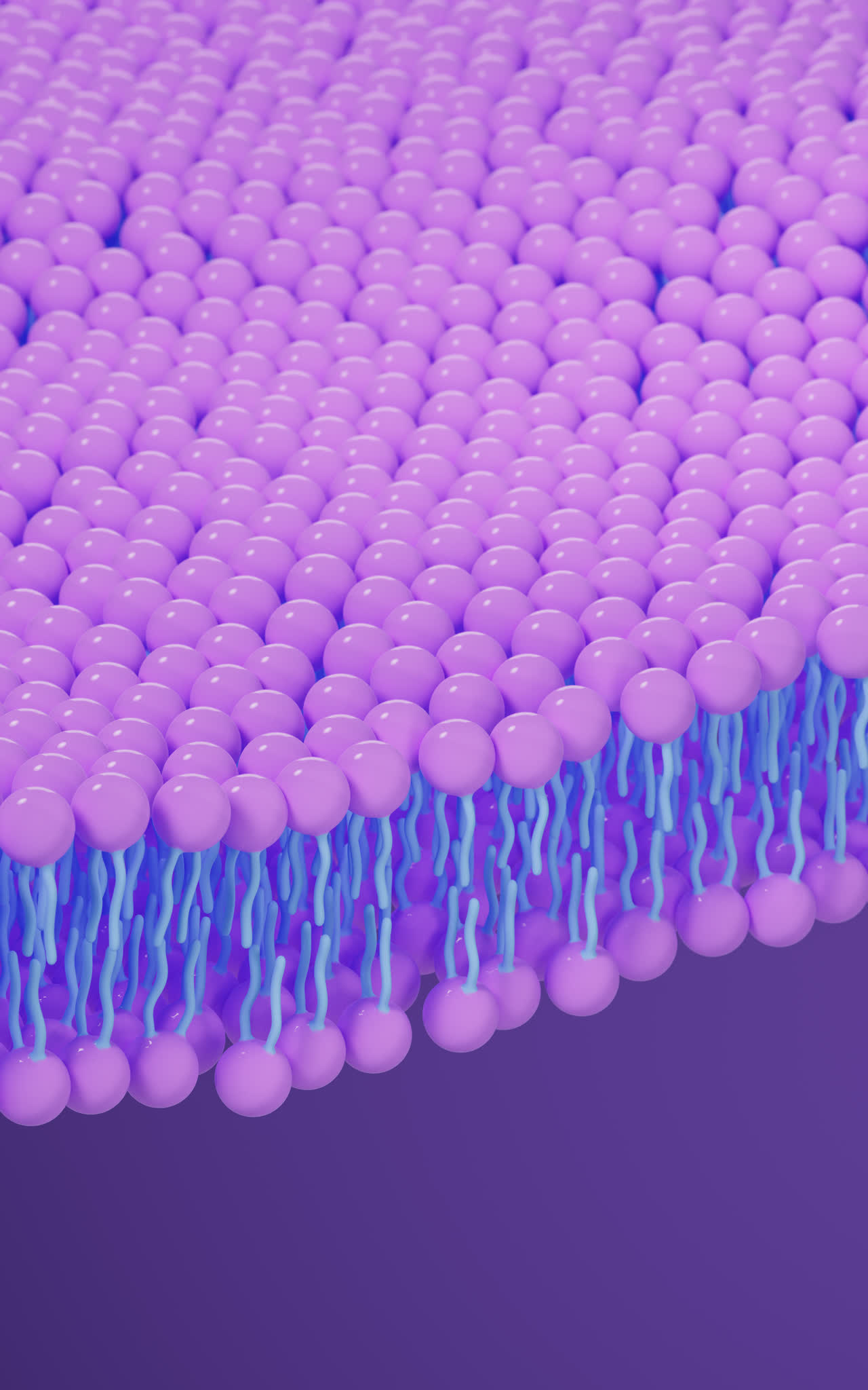 磷脂双分子层细胞膜3D渲染
