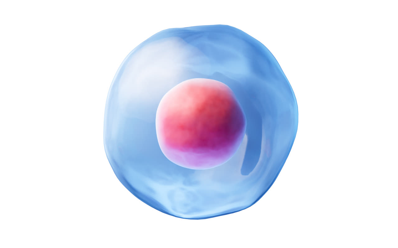 透明的圆形细胞3D渲染