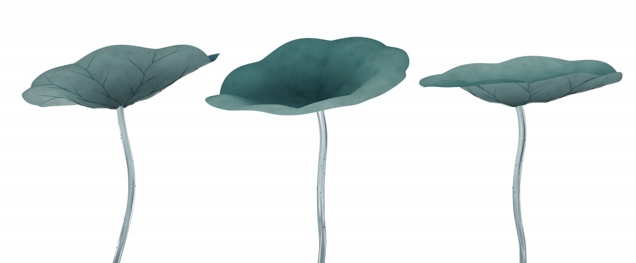 中国风彩色水墨画荷花元素