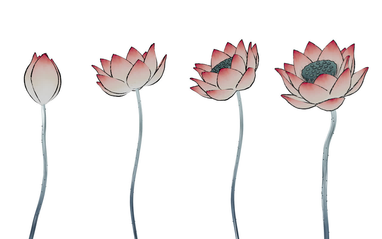 中国风彩色水墨画荷花元素