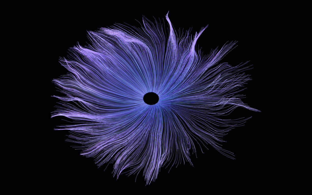 流动生长的粒子曲线背景3D渲染