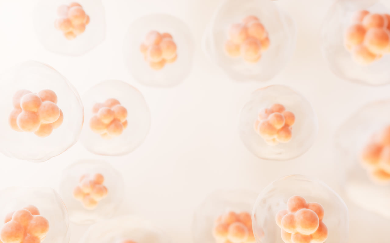 透明细胞结构3D渲染