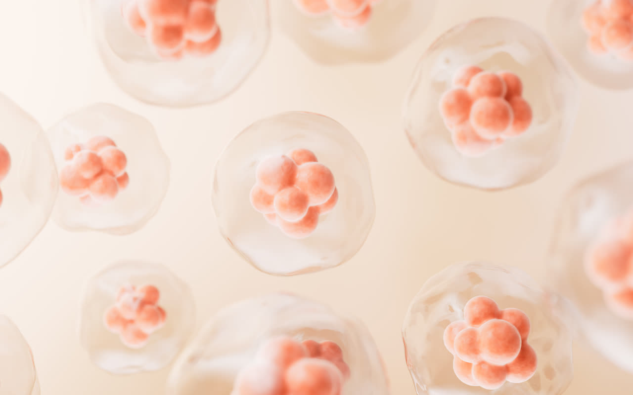 透明细胞结构3D渲染