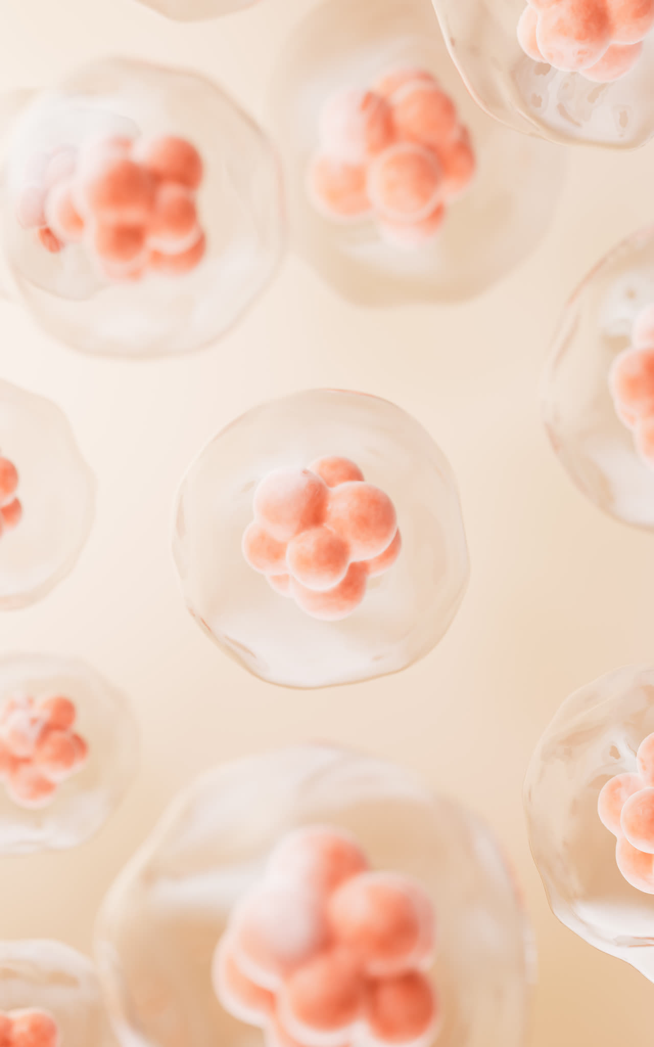 透明细胞结构3D渲染