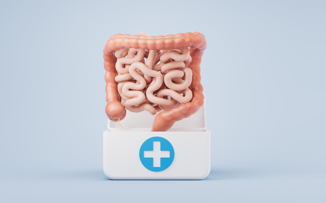 肠道器官与医药箱3D渲染