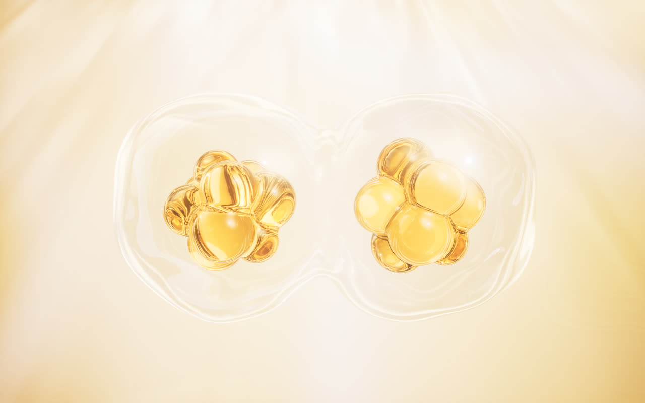 金色分裂的透明细胞3D渲染