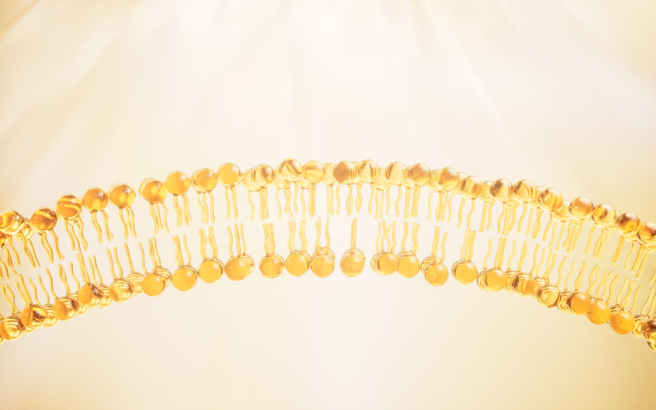 金色透明细胞膜3D渲染