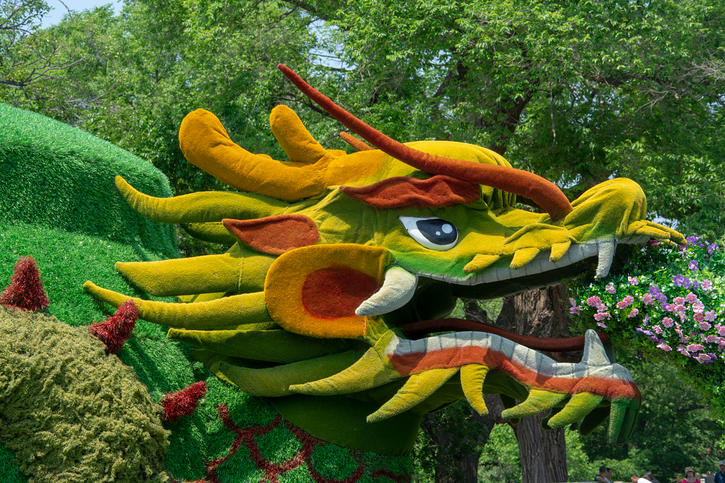 公园户外搭建的龙形景观