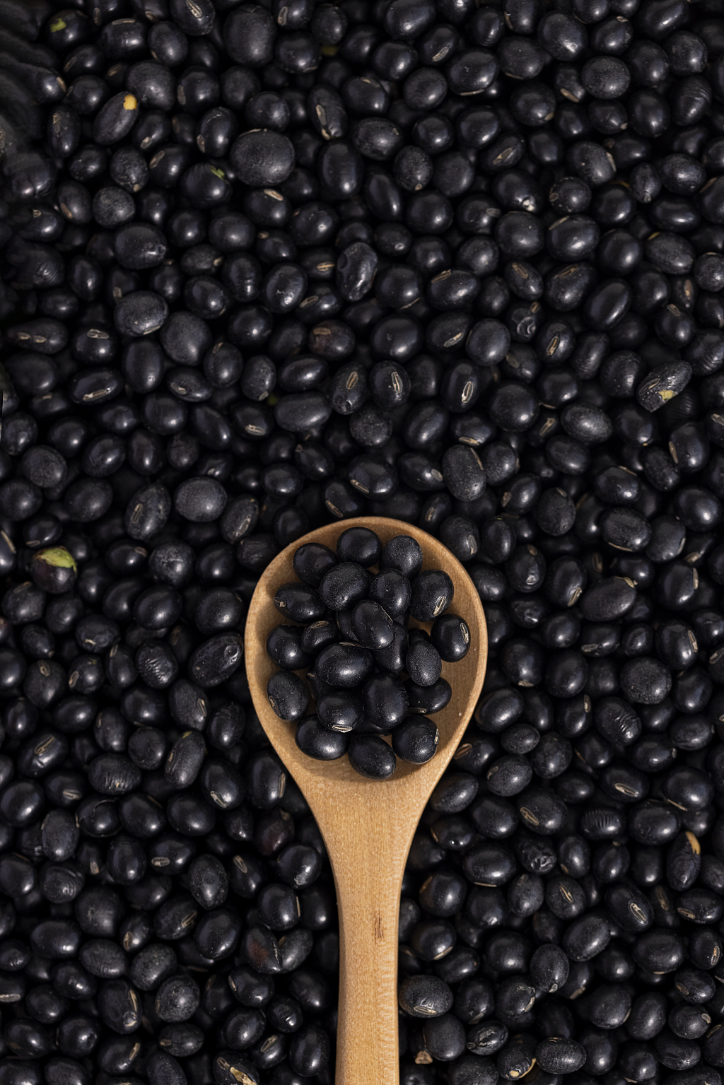 勺子里的黑豆黑豆背景