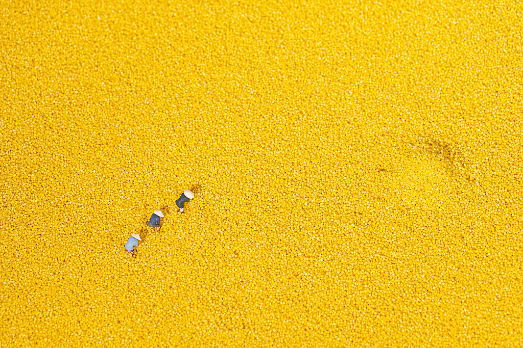 小米粮食秋收创意海报粮食丰收粗粮小米图片