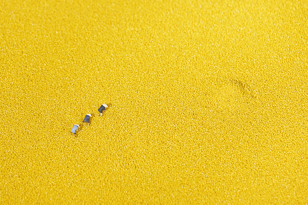 小米粮食创意丰收图片粮食丰收粗粮小米图片