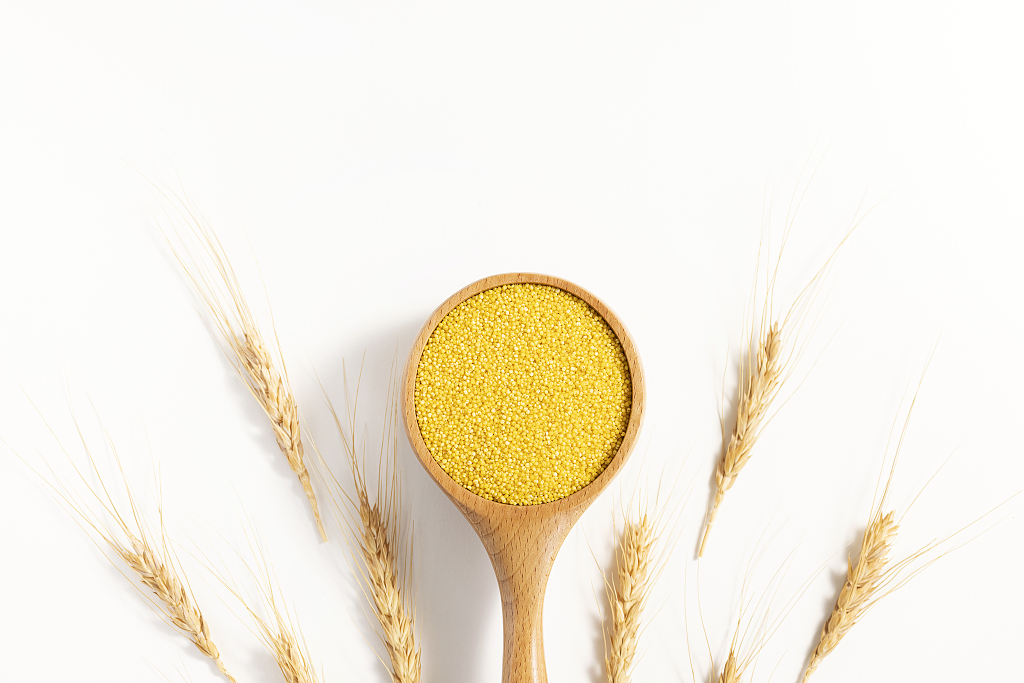 小米生长创意图片粮食丰收粗粮小米图片