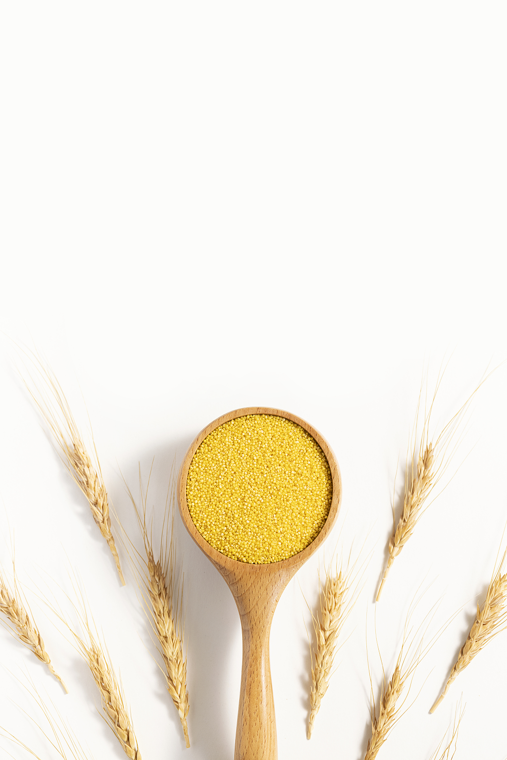 小米麦穗创意图片粮食丰收粗粮小米图片