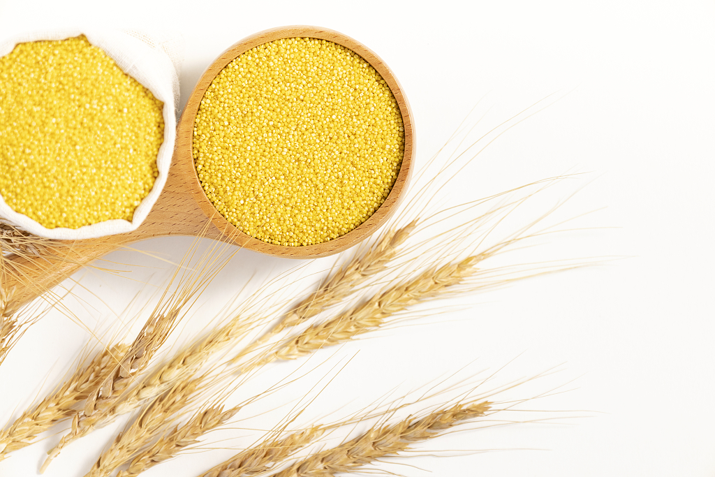 小米麦穗丰收创意图片粮食丰收粗粮小米图片