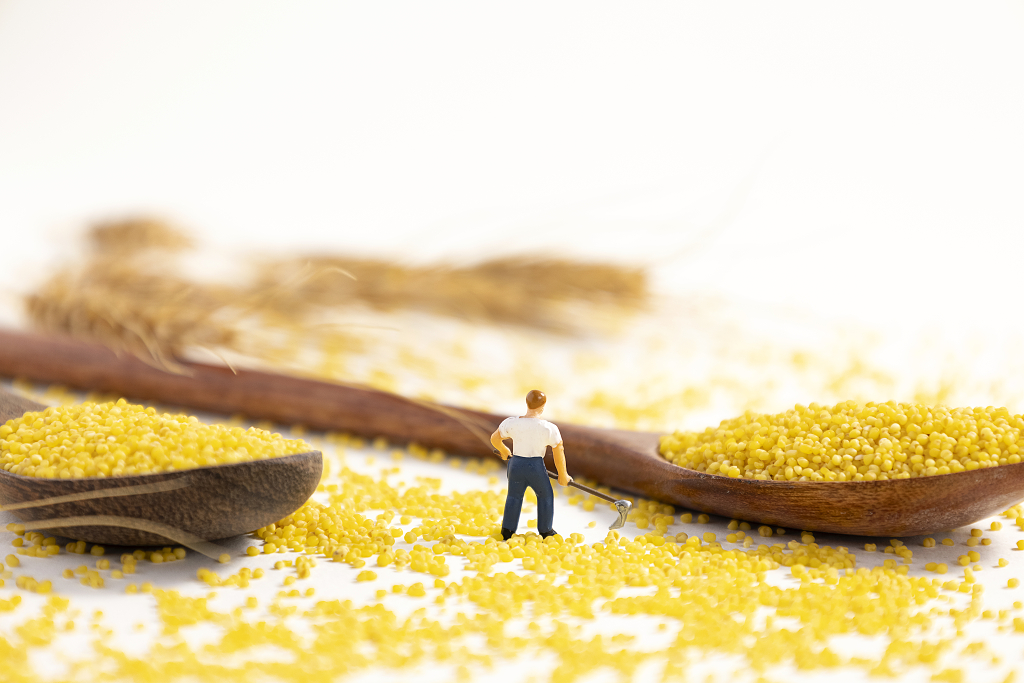 粮食小米微缩创意秋收粮食丰收粗粮小米图片