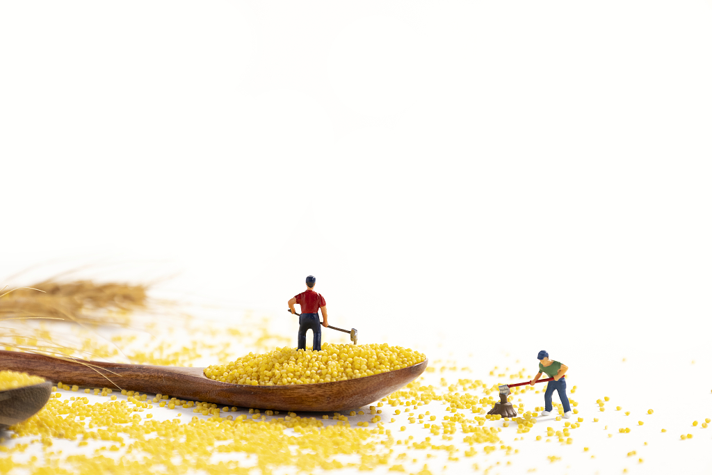 粮食小米微缩创意丰收粮食丰收粗粮小米图片