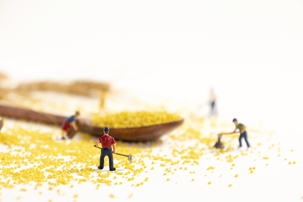 粗粮小米微缩创意丰收粮食丰收粗粮小米图片