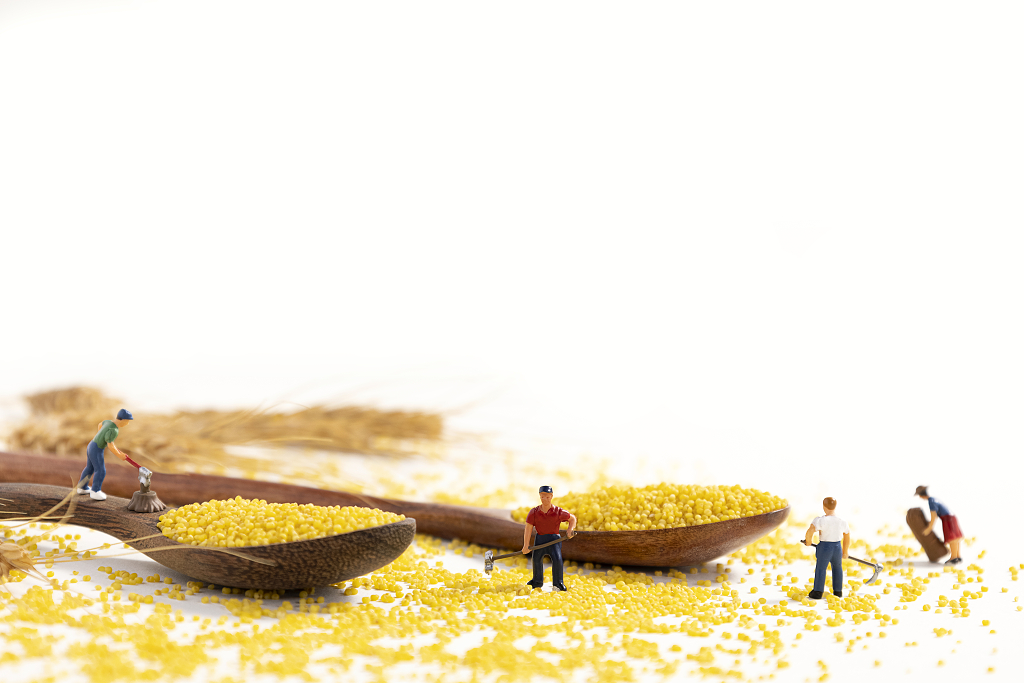 小米微缩创意秋收场景粮食丰收粗粮小米图片