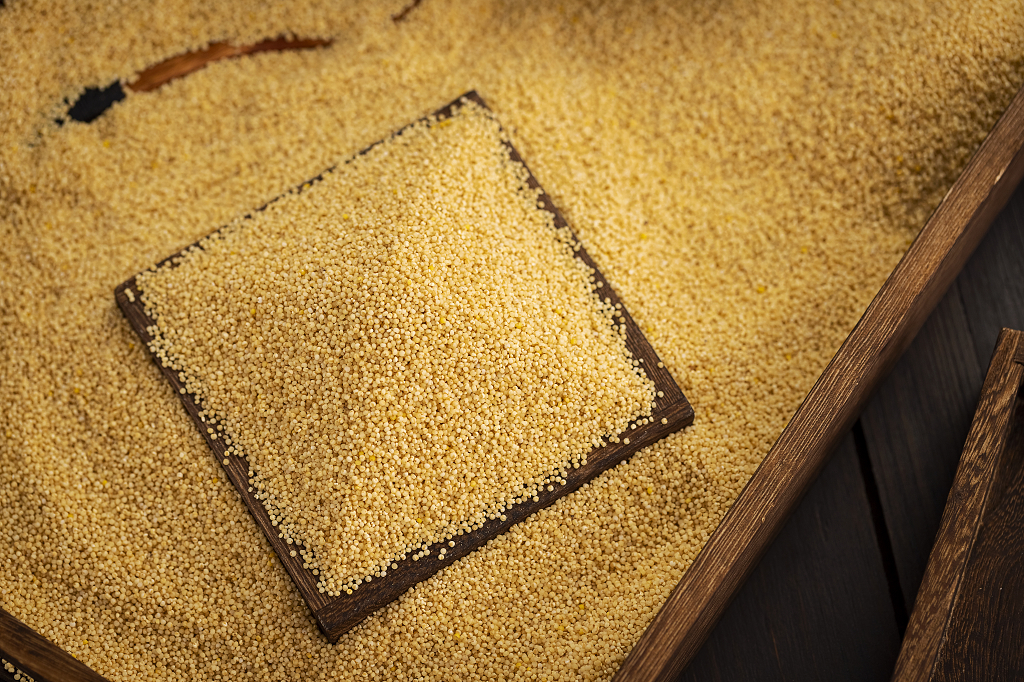 小米创意暗调背景粮食丰收粗粮小米图片