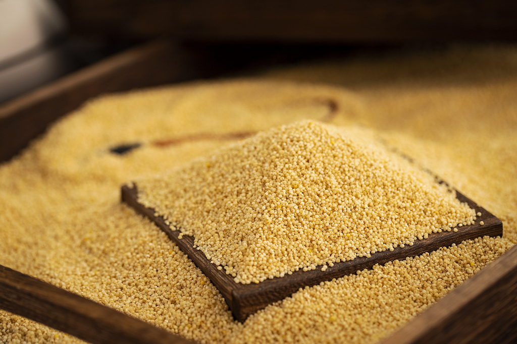 五谷杂粮小米暗调背景粮食丰收粗粮小米图片