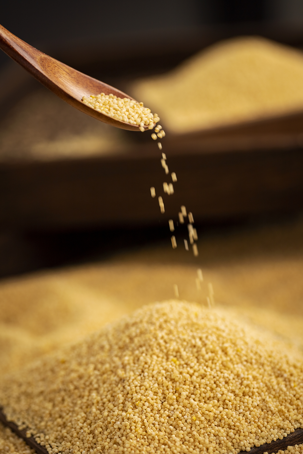 小米粮食暗调风格图片粮食丰收粗粮小米图片