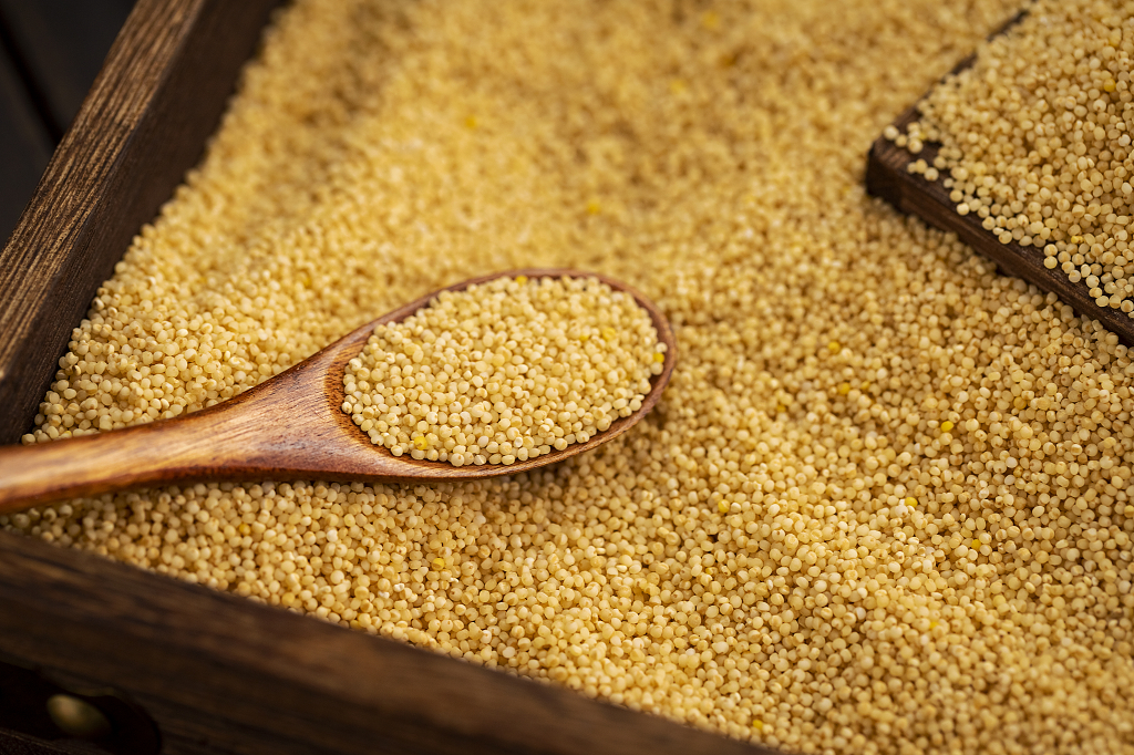 勺子里的小米粮食粮食丰收粗粮小米图片