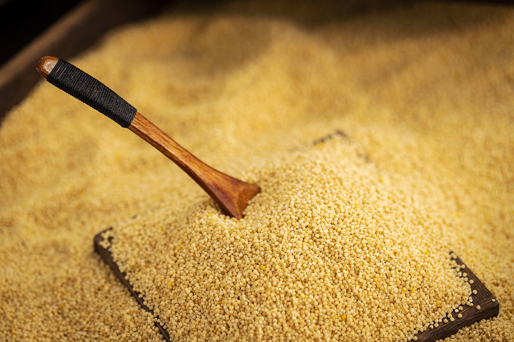 粮食小米电商产品拍摄粮食丰收粗粮小米图片