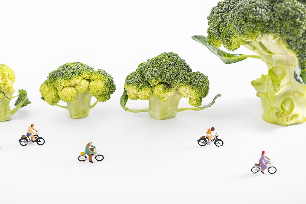 青花菜西兰花图片绿色蔬菜西蓝花图片