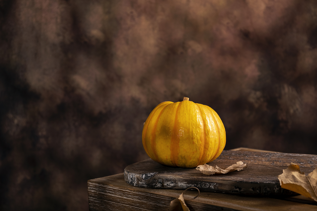一颗南瓜高清暗调图片南瓜感恩节图片秋天创意