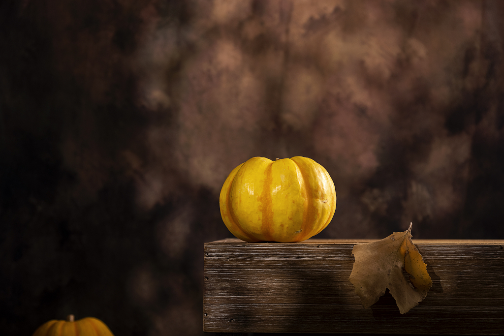 南瓜小金瓜创意光影图片南瓜感恩节图片秋天创意