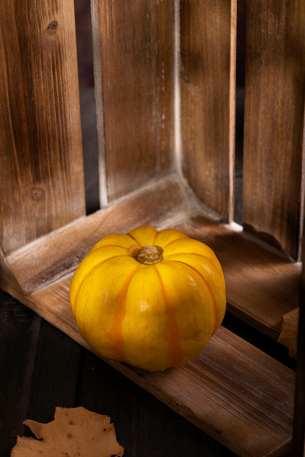 南瓜小金瓜创意光影背景南瓜感恩节图片秋天创意