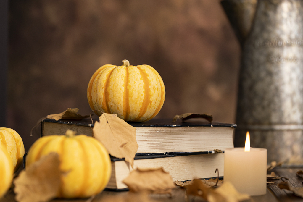 小金瓜南瓜秋季图片南瓜感恩节图片秋天创意