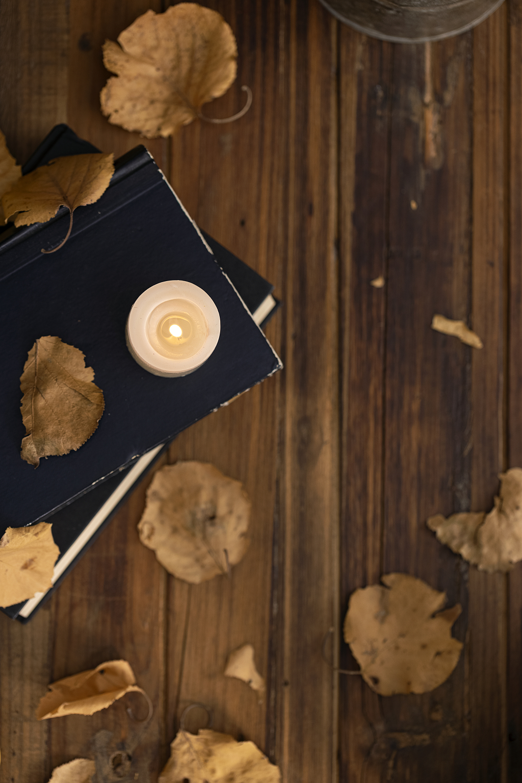 感恩节文艺温暖图片南瓜感恩节图片秋天创意