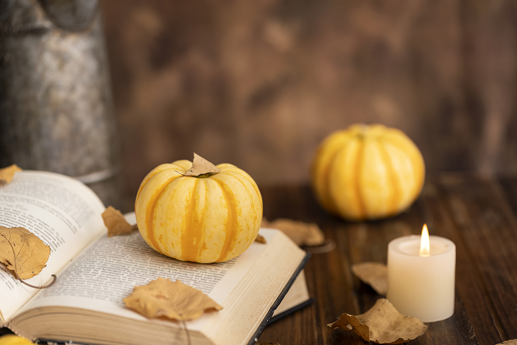 南瓜感恩节创意图片南瓜感恩节图片秋天创意